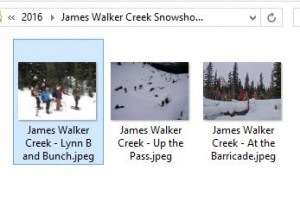 1-Organize your Photos and Label them