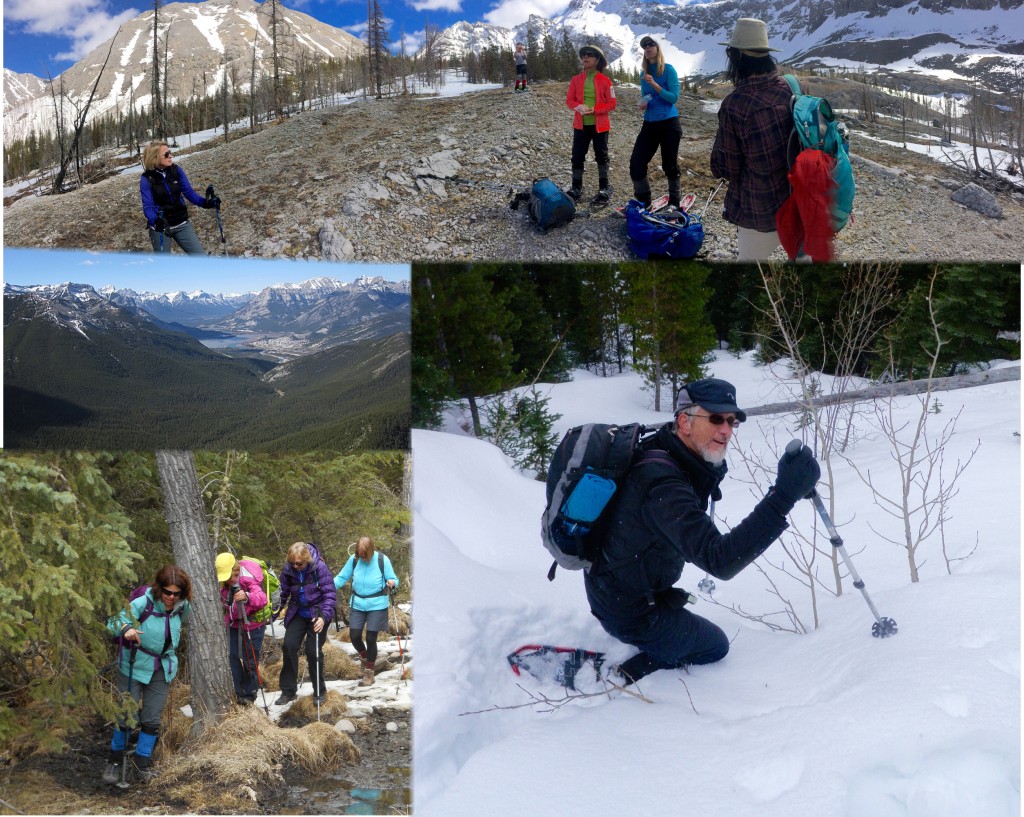 BarrierBullerCarryPenstock