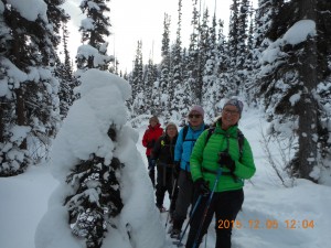 Boom Lake Snowshoe Trail