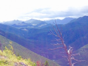 Cataract Creek Valley