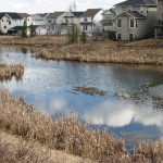 Day178 - Tuscany Pond