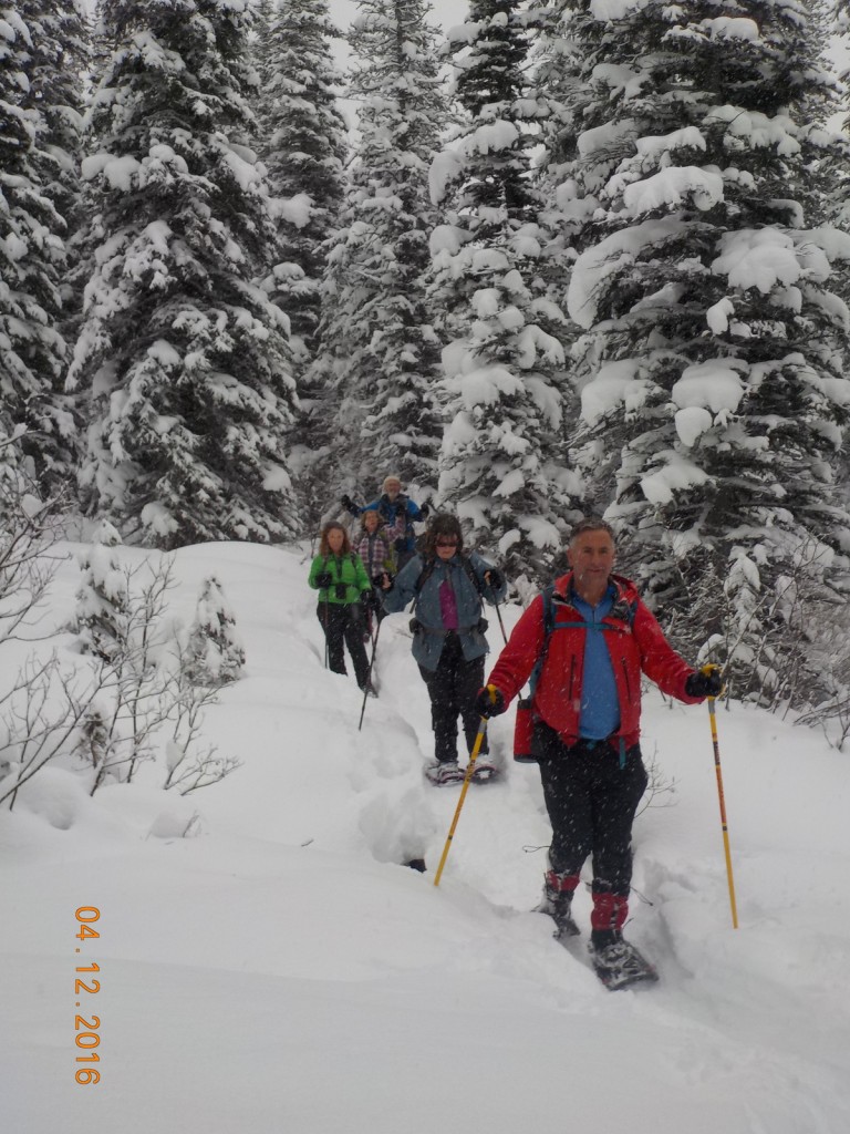 Dec 5 - Field Weekend - Sherbrook Lake Snow Shoe