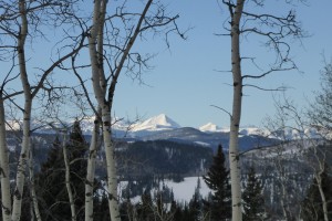 Hike Brown-Lowery Provincial Park