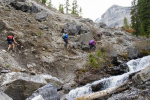 Memorial Lakes Scrambly Trail