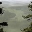 The Perfect Pine Tree Pollen Storm - June 2017