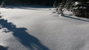 Snow Crystals - Highwood Pass