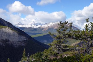 Wasootch Ridge View